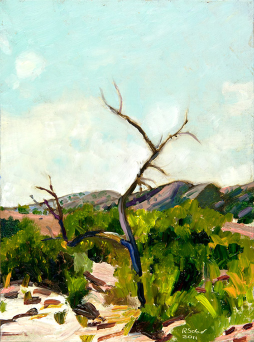 Richard Sober's painting: Above Ojo